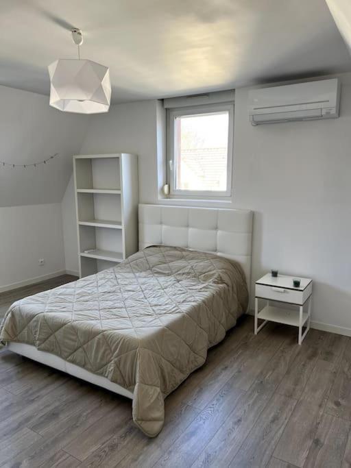 Appartement F5 Maison De Maitre Mulhouse Exterior photo