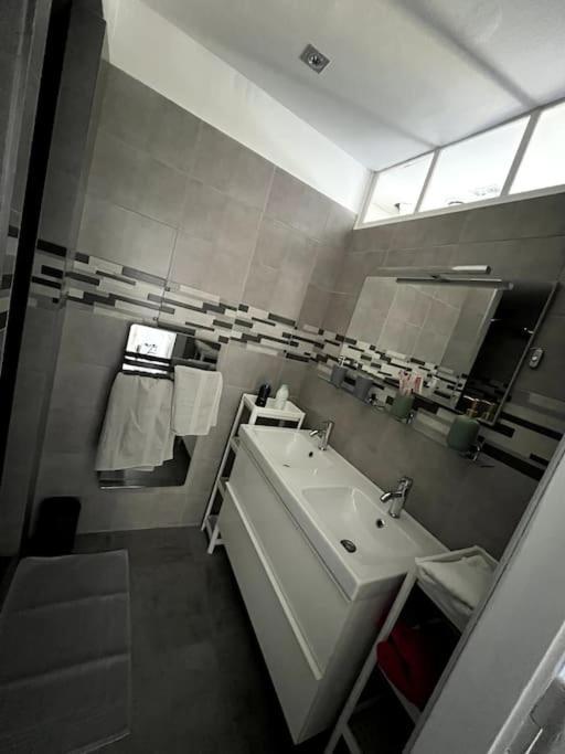 Appartement F5 Maison De Maitre Mulhouse Exterior photo